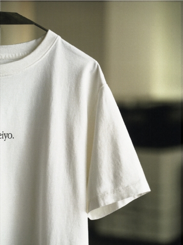 Terminal White